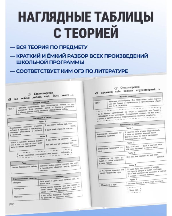 Дополнительное изображение книги «Литература»