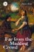 Far from the Madding Crowd = Вдали от обезумевшей толпы