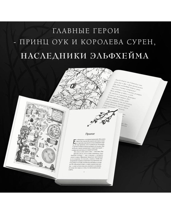 Принц Эльфхейма. Украденный наследник (#1)