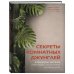 Секреты комнатных джунглей. О чем молчат растения и как понять, что им нужно на самом деле
