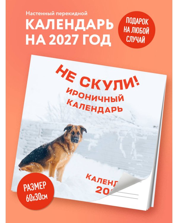 Не скули. Ироничный календарь настенный на 2027 год (300х300 мм)