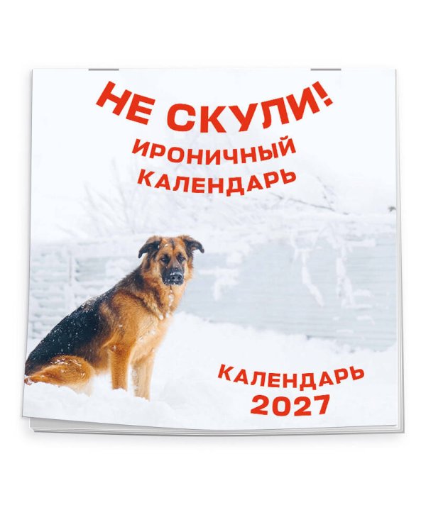 Не скули. Ироничный календарь настенный на 2027 год (300х300 мм)