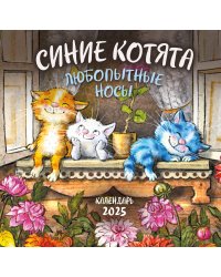 Синие котята. Любопытные носы. Календарь настенный на 2025 год (300х300 мм)