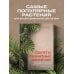 Секреты комнатных джунглей. О чем молчат растения и как понять, что им нужно на самом деле