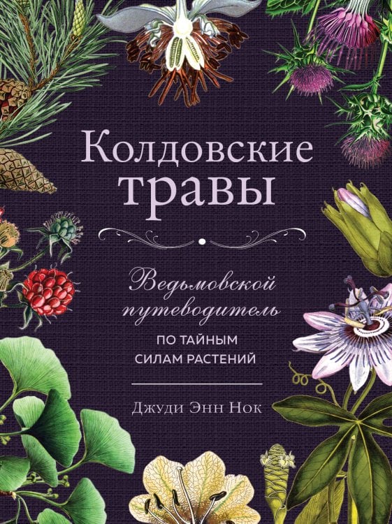 Викка. Сила природной магии Колдовские травы. Ведьмовской путеводитель по тайным силам растений