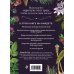 Викка. Сила природной магии Колдовские травы. Ведьмовской путеводитель по тайным силам растений