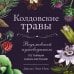 Викка. Сила природной магии Колдовские травы. Ведьмовской путеводитель по тайным силам растений