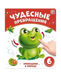 Превращения в природе