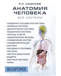 Анатомия человека. 80 карточек. Все системы