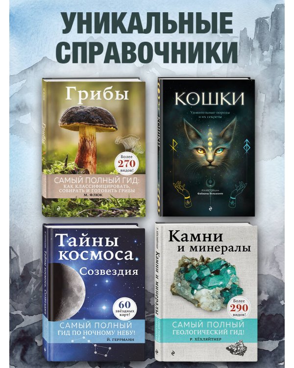 Дополнительное изображение книги «Камни и минералы»