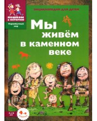 Мы живем в каменном веке. Энциклопедия