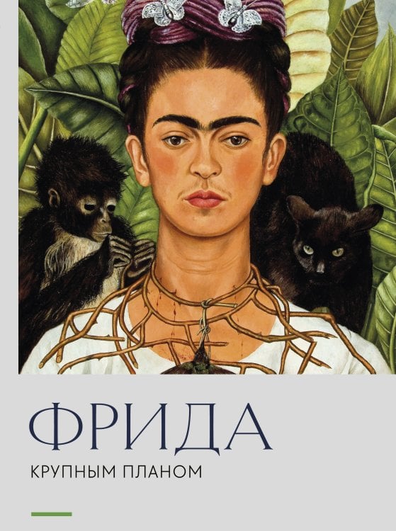 Обложка книги «Фрида. Крупным планом» — <не указано>, ISBN 9785042466700
