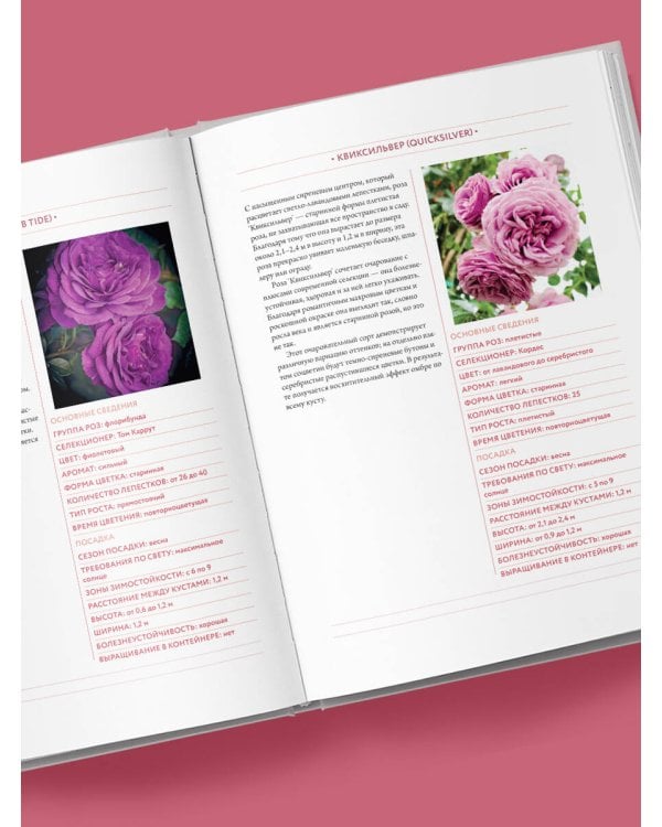 Садовые розы. Полное руководство по выращиванию, уходу и созданию потрясающих букетов
