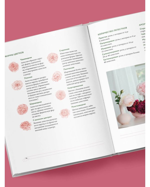 Садовые розы. Полное руководство по выращиванию, уходу и созданию потрясающих букетов