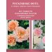 Садовые розы. Полное руководство по выращиванию, уходу и созданию потрясающих букетов