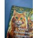 Дополнительное изображение книги «Счастье обыкновенного говорящего кота Мяуна»