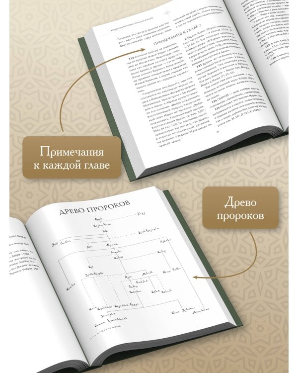Дополнительное изображение книги «Священная история согласно Корану. Доисламские древности»