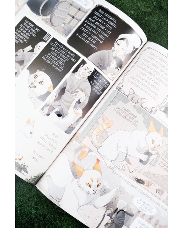 Воспоминания нэкоматы, кошки-оборотня