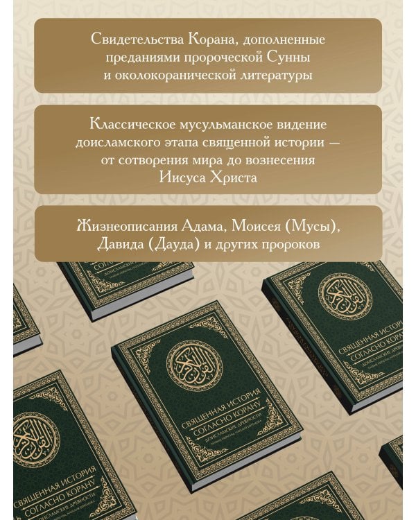 Дополнительное изображение книги «Священная история согласно Корану. Доисламские древности»