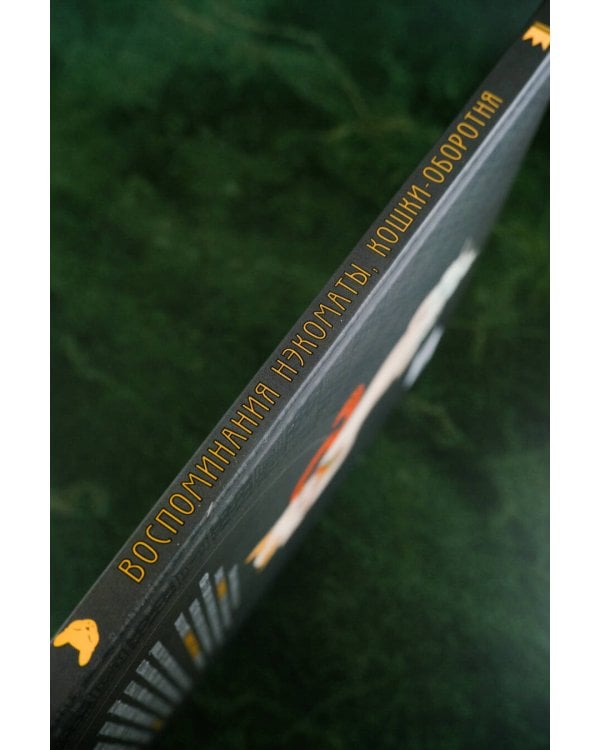 Воспоминания нэкоматы, кошки-оборотня