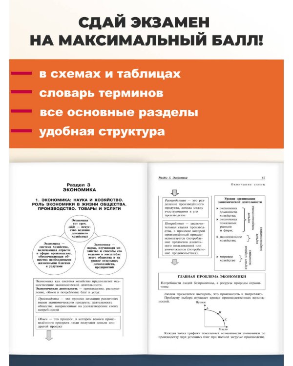 Обществознание: наглядно и доступно_