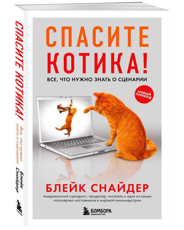 Спасите котика! Все, что нужно знать о сценарии (обновленное издание)
