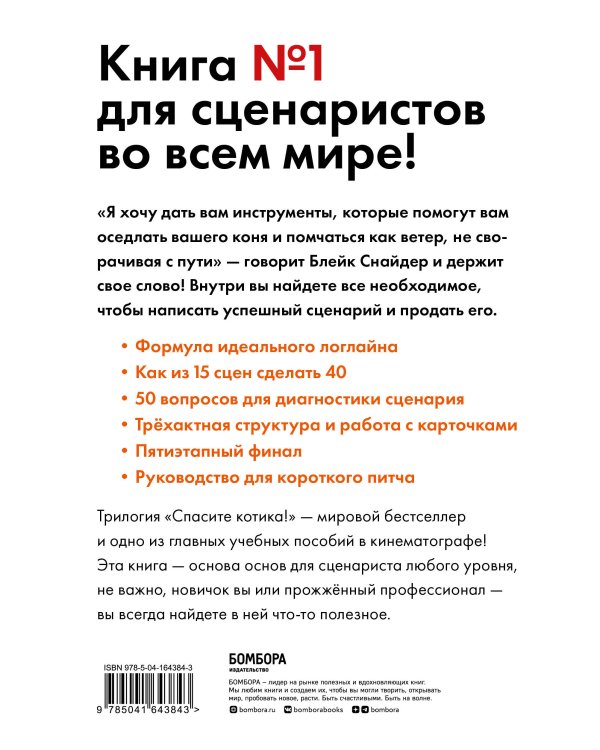 Спасите котика! Все, что нужно знать о сценарии (обновленное издание)