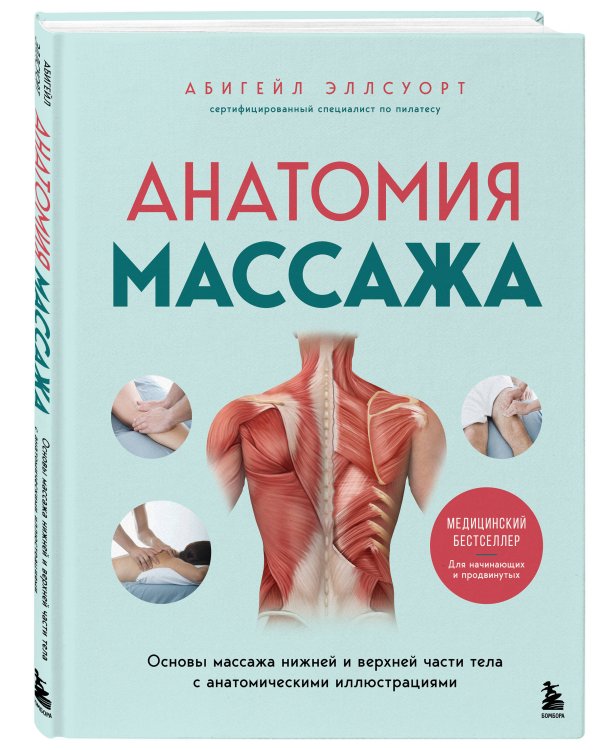 Анатомия массажа. Основы массажа нижней и верхней части тела с анатомическими иллюстрациями