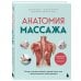 Анатомия здоровья Анатомия массажа. Основы массажа нижней и верхней части тела с анатомическими иллюстрациями