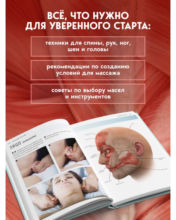 Анатомия массажа. Основы массажа нижней и верхней части тела с анатомическими иллюстрациями
