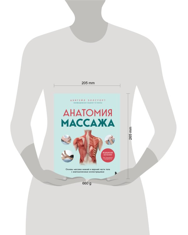 Анатомия массажа. Основы массажа нижней и верхней части тела с анатомическими иллюстрациями