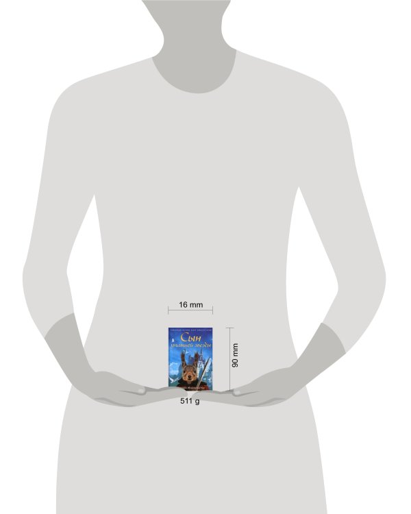 Сын упавшей звезды: роман