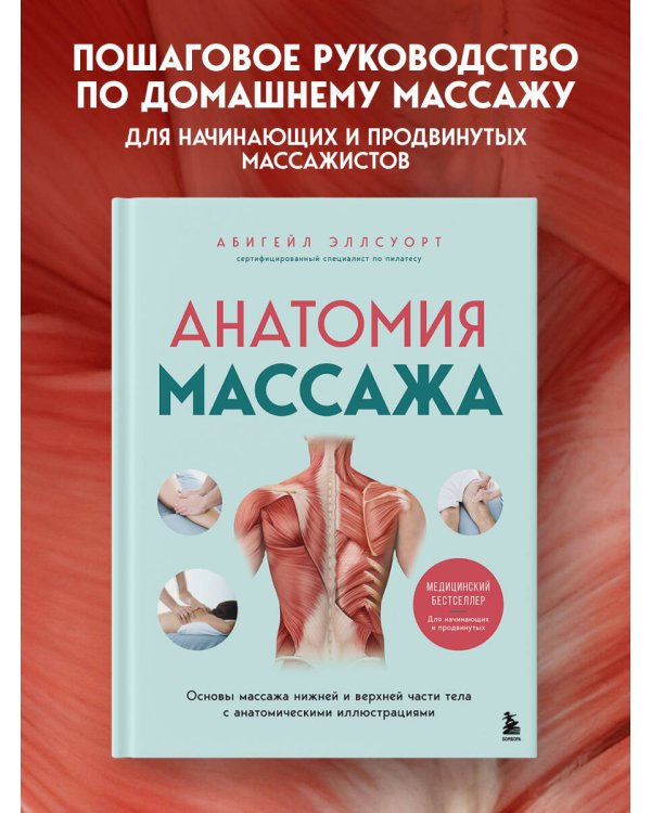 Анатомия массажа. Основы массажа нижней и верхней части тела с анатомическими иллюстрациями