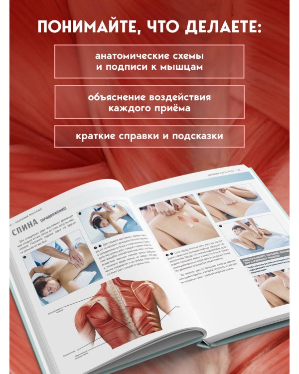 Анатомия массажа. Основы массажа нижней и верхней части тела с анатомическими иллюстрациями
