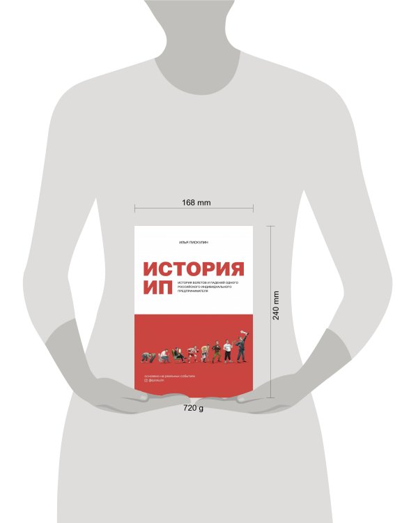 История ИП. История взлетов и падений одного российского индивидуального предпринимателя
