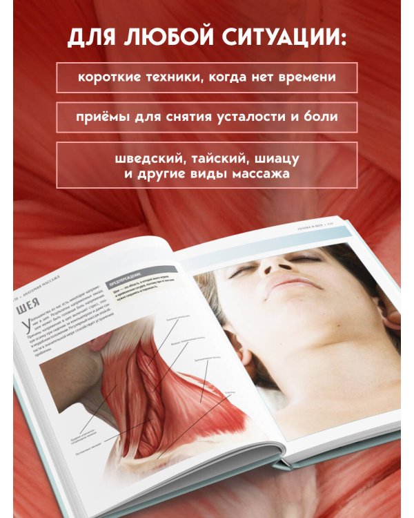 Анатомия массажа. Основы массажа нижней и верхней части тела с анатомическими иллюстрациями