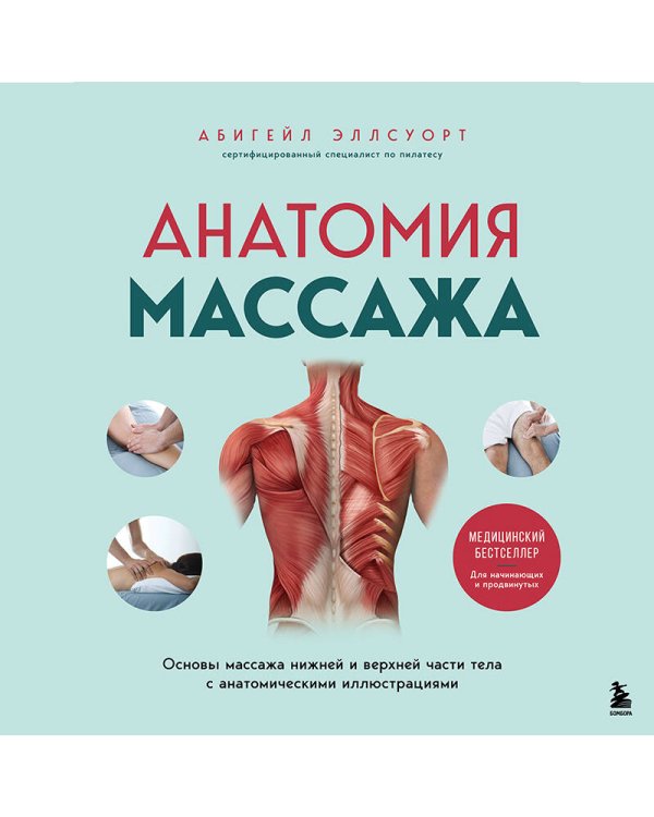 Анатомия массажа. Основы массажа нижней и верхней части тела с анатомическими иллюстрациями