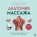 Анатомия здоровья Анатомия массажа. Основы массажа нижней и верхней части тела с анатомическими иллюстрациями