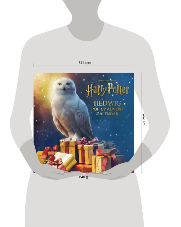 Harry Potter: Hedwig Pop-up Advent Calendar (Reinhart  Matthew) Гарри Поттер  Хедвиг Pop-up адвент календарь/ Книги на английском языке