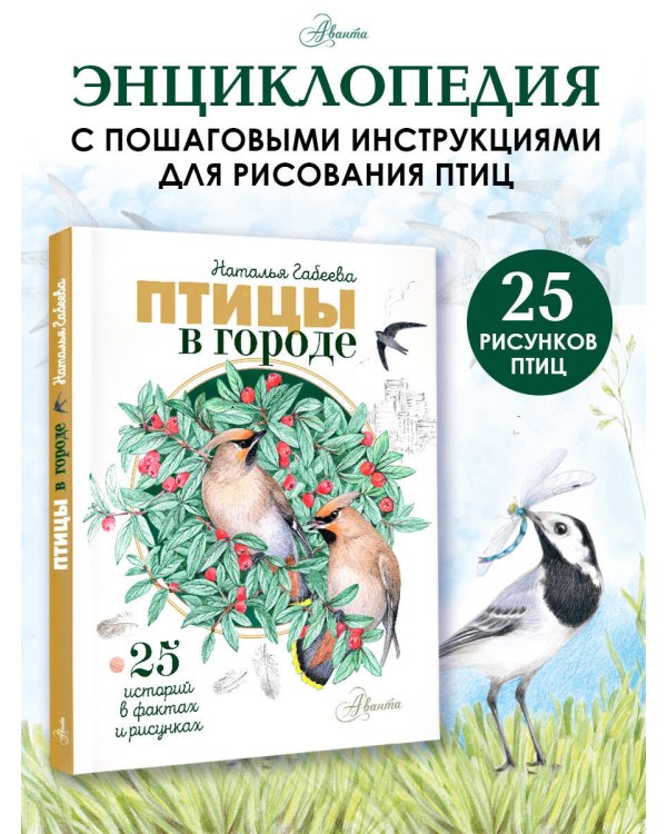 Птицы в городе. 25 историй в фактах и рисунках