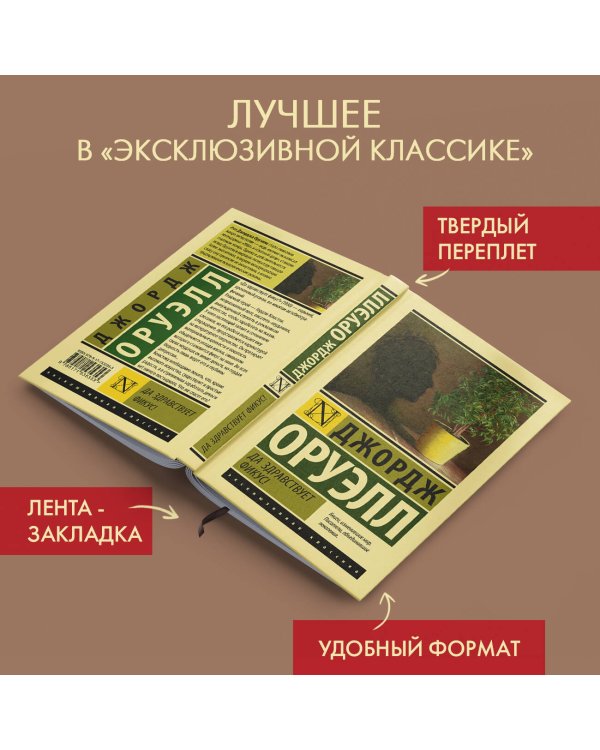 Да здравствует фикус!