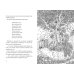 МИФ. Книжные истории Книжный лес