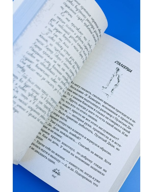 Дополнительное изображение книги «Злодей и фанатка»