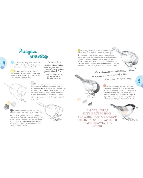 Птицы в городе. 25 историй в фактах и рисунках