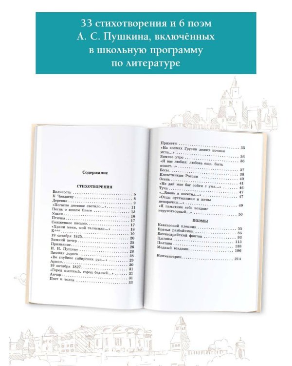 Медный всадник. Поэмы. С комментариями