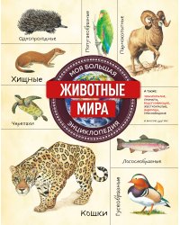 Животные мира. Моя большая энциклопедия