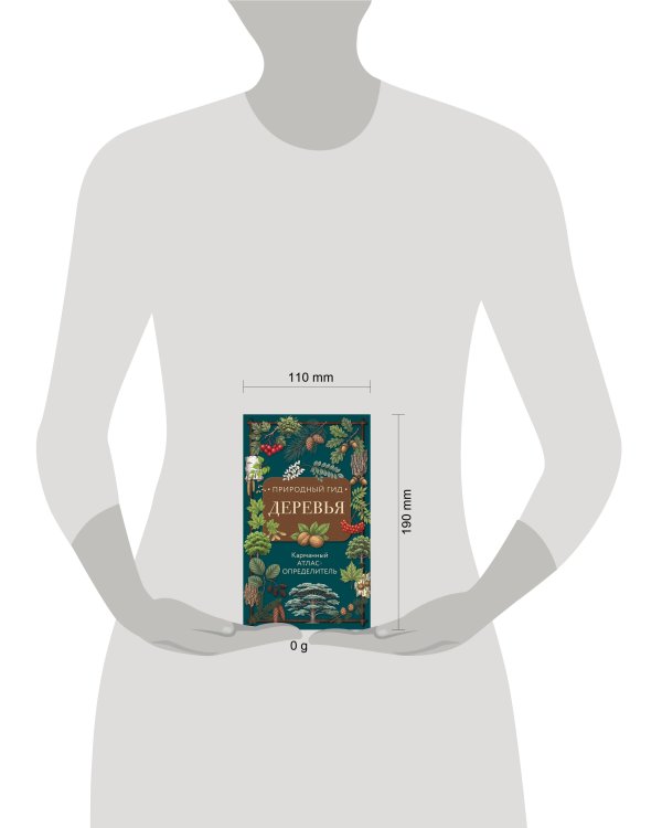 Дополнительное изображение книги «Деревья. Карманный атлас-определитель»