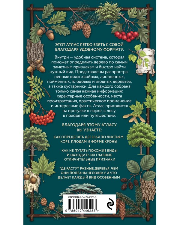 Дополнительное изображение книги «Деревья. Карманный атлас-определитель»