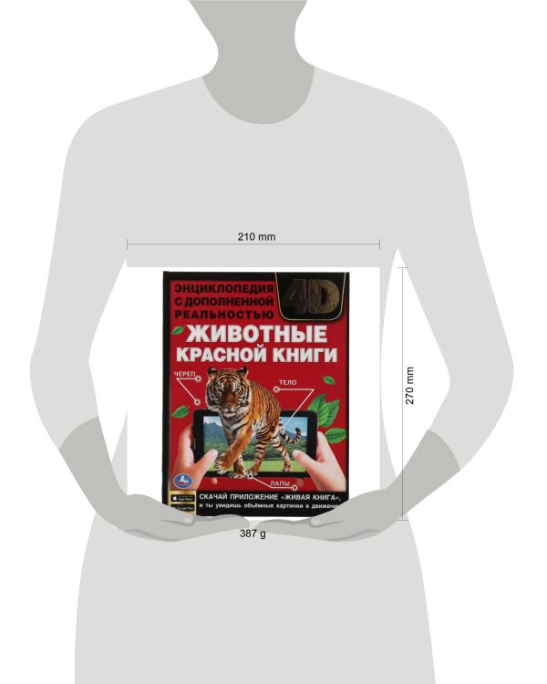 ЖИВОТНЫЕ КРАСНОЙ КНИГИ.Энциклопедия А4 с дополненной реальностью 4D197х255мм,48 стр. Умка в кор.15шт