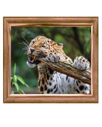 Алмаз. моз. квадратная  30x40, (класс.)без подр.,с полн. зап. (27цв) Свирепый леопард (Арт. FW-002)